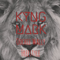 Rookie Season (Oochie Wally Freestyle)