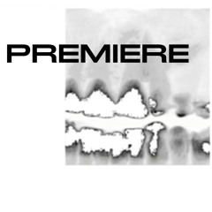 Brian Chase & Angus Tarnawsky - Internal Perspective