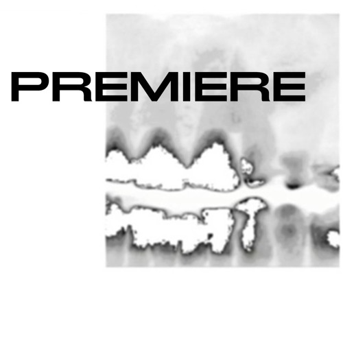 Brian Chase & Angus Tarnawsky - Internal Perspective