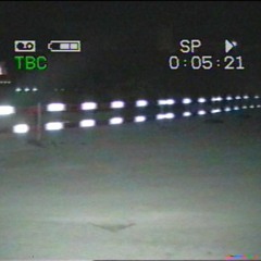 solanum [prod. feeniks]