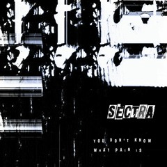 Sectra - In the Form of a Shadow (FringeWorthy)