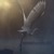 Artwork for ‘BLESSING FOR UNREQUITED LOVE, by David Whyte, music Christian Lindquist, voice M.Justice