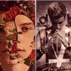 Mashup - "Because I Had You" (Shawn Mendes) / "Love Yourself" (Justin Bieber)