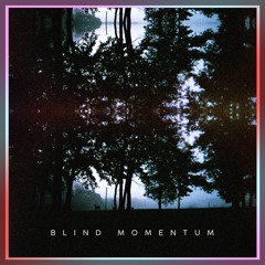 Blind Momentum