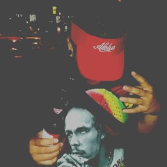 Prince - Dont let me fall (cover)