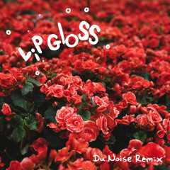 Lil Mama - Lip Gloss (Du Noise Remix)