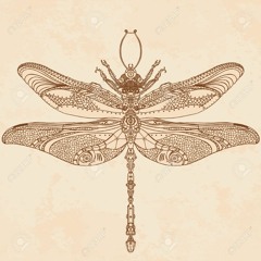 Metamorphia 2018