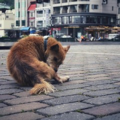 คนรักหรือแค่รู้จัก - Sky