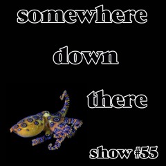Somewhere Down There - show #55