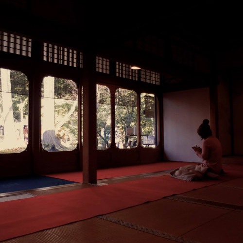 Kyoto (Kansai) - Kinkaku-Ji tea house