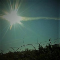 Maybe It Never Leaves