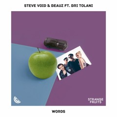 Steve Void & BEAUZ - Words (ft. Bri Tolani)🍉