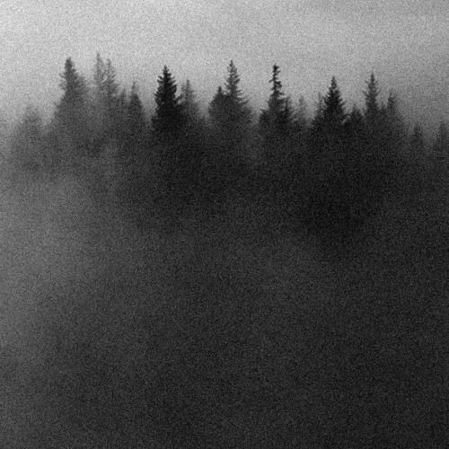 ABSENCE