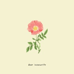 dear insecurity (feat. Ben Abraham)