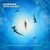 Artwork for Dave Edwards x Fly By Midnight - Swimming With Sharks