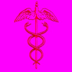 ＡＮＧＥＬＵＳ