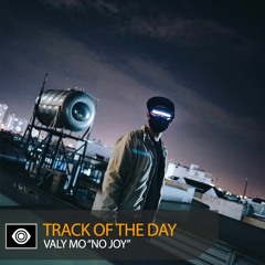 Track of the Day: Valy Mo “No Joy”
