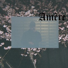 Seunil - Amère