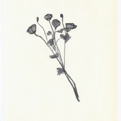 Praxior - Joji (Inst) (Slowed Down With Extra Sound Effects)