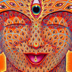 hallucinating consciousness