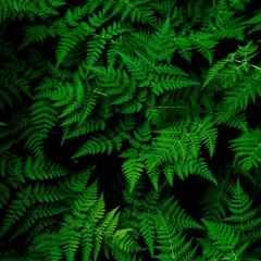 Jatuh Cinta Selalu Tak Sengaja Jatuh di Tanah Ubud (Cover)