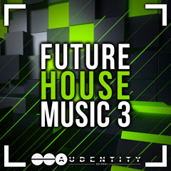 Audentity Records - Future House Music 3