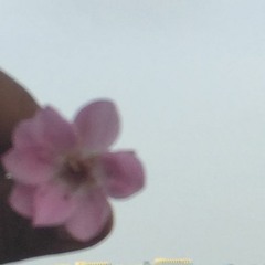 DUMB BITCH (Prod. by Broke Boi)