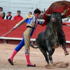 TORO