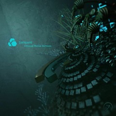 Sensient - Emotive Motive (SoulFuze Remix)