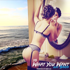 YS - What You Want (Prod. by Nard & B) (Feat. Bakes)