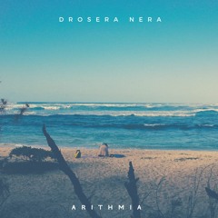 drosera nera (original mix)