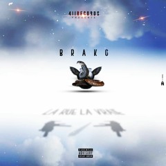 BRAKO - mauvais chemin