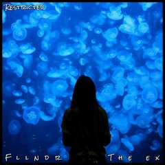 FLLNÐR - The Ex |Restricted exclusive|