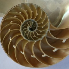 Infinite Spinning (2018): American Modern Ensemble
