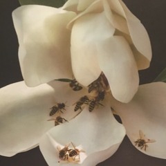 S03 Episode 5: Hospitality