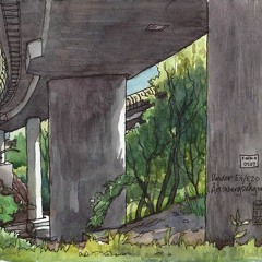 concrete jungle