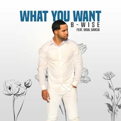 What you want (feat. Vidal Garcia)
