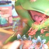 Growth Mp3