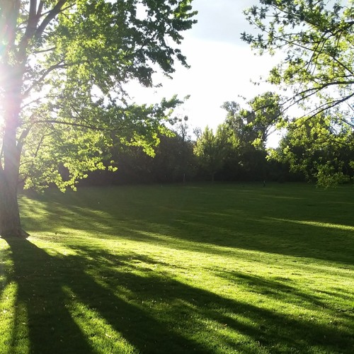 Phoenix #2772- We Will Be Remembered