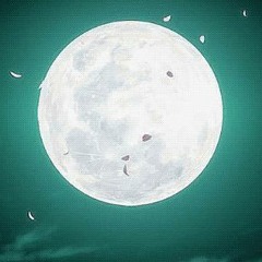 Moonshine