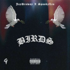 Birds Ft. SpookyLeo (Prod. lucky bennu & ProdINM)