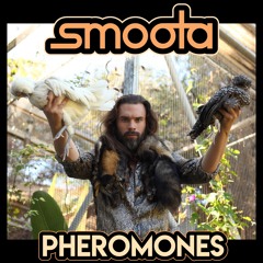 Pheromones (Single Release)