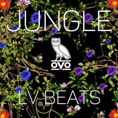 Drake X Majid Jordan X  DVSN Type beat  "Jungle"  [FREE]