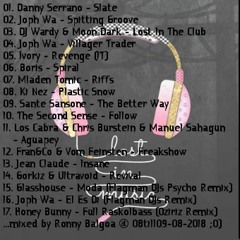 ElectRONNYcal - INSANE GROOVE