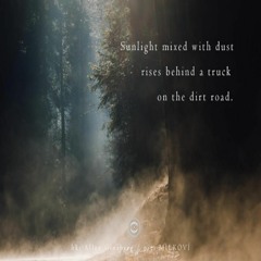 Sunlight Mixed With Dust (Naviarhaiku 240)