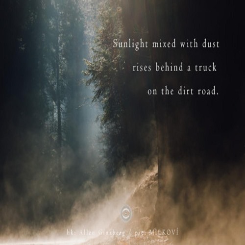 Sunlight Mixed With Dust (Naviarhaiku 240)