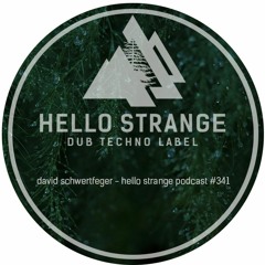 david schwertfeger - hello strange podcast #341