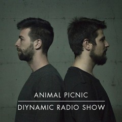 Diynamic Radio Show August 2018 by Animal Picnic