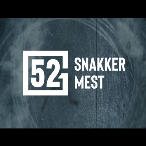 Snakker Mest (Prod. Thørnblad)