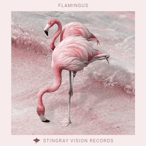 Flamingus - Androgyn (Landhouse Remix)